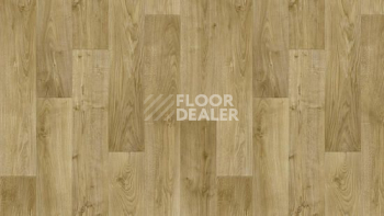 Линолеум Tarkett Discovery RIGARD 2 фото 1 | FLOORDEALER